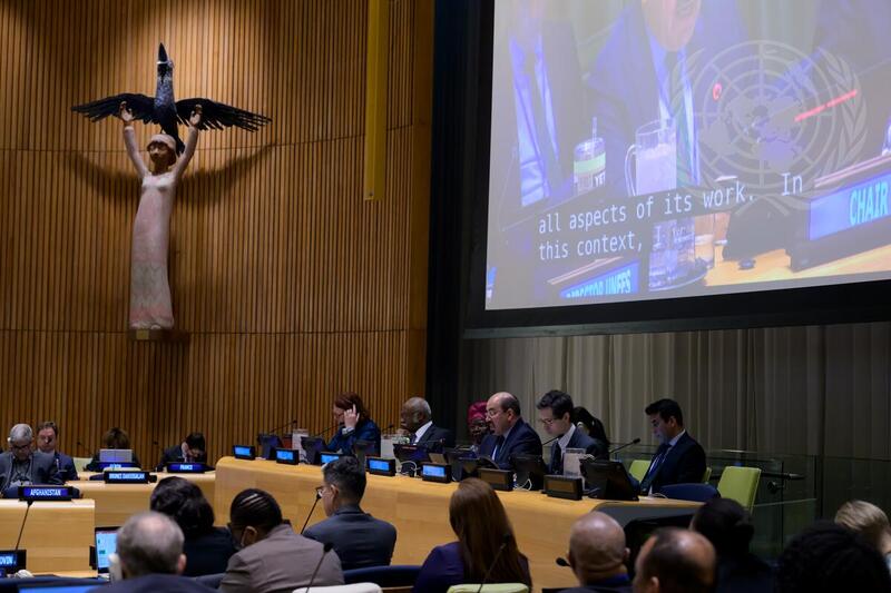 20th Session of United Nations Forum on Forests