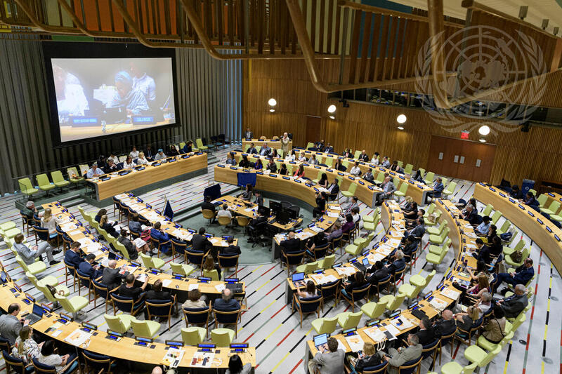 World Bee Day Observance at UNHQ