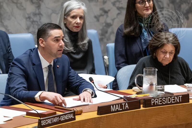 Security Council Meets on Situation in Middle East, Including Palestinian Question