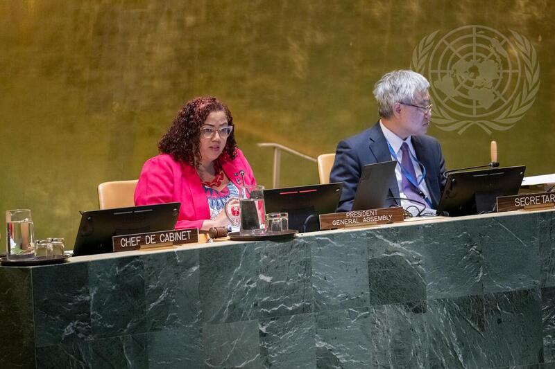 General Assembly Holds Conference on Situation of Rohingya Muslims and other Minorities in Myanmar