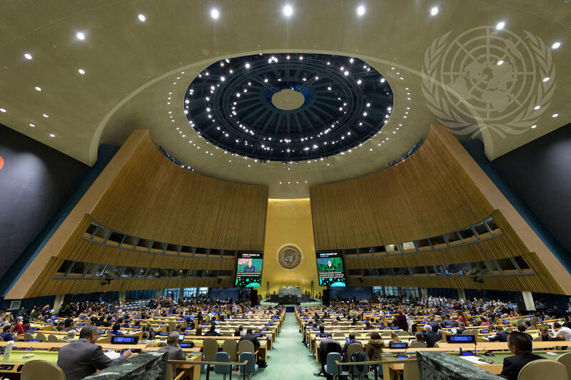 General Assembly Meets on Occasion of 30th Anniversary of Convention on Rights of Child