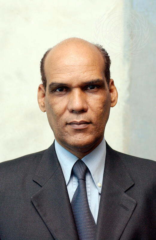 New Permanent Representative of Mauritania
