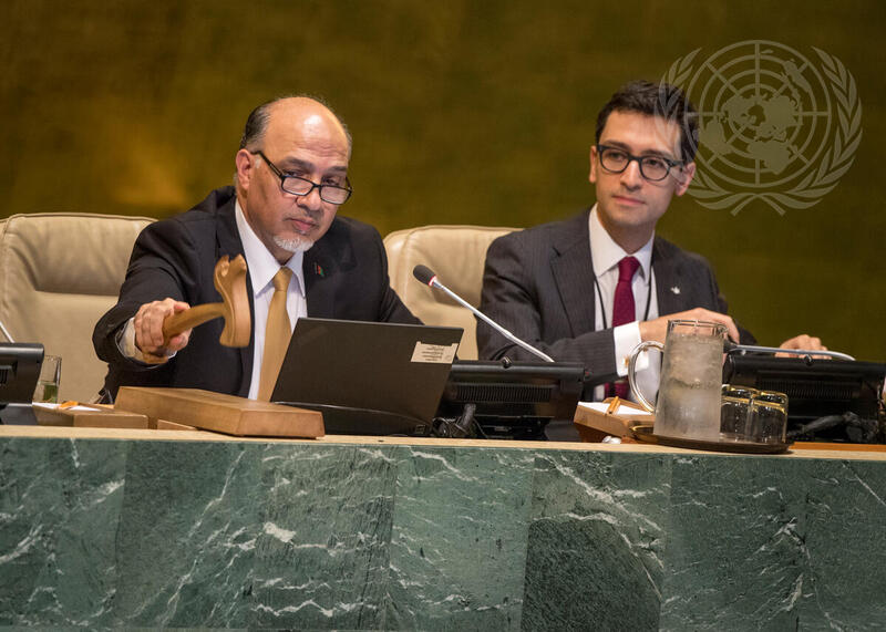 General Assembly Appraises Plan of Action to Combat Human Trafficking