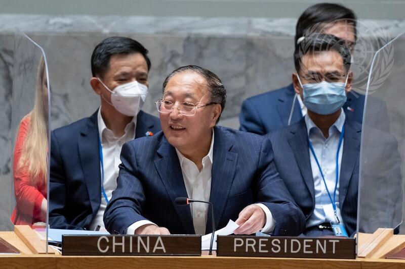Security Council Meets on Peace and Security in Africa