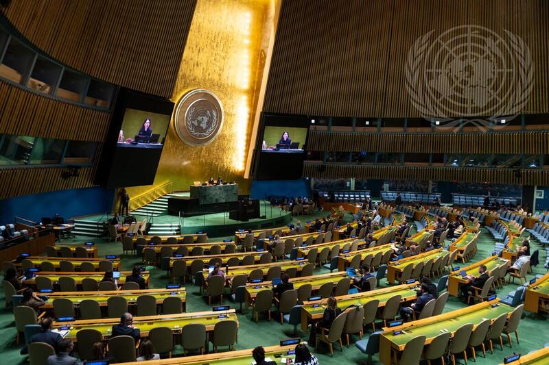 General Assembly Meets on Use of Veto