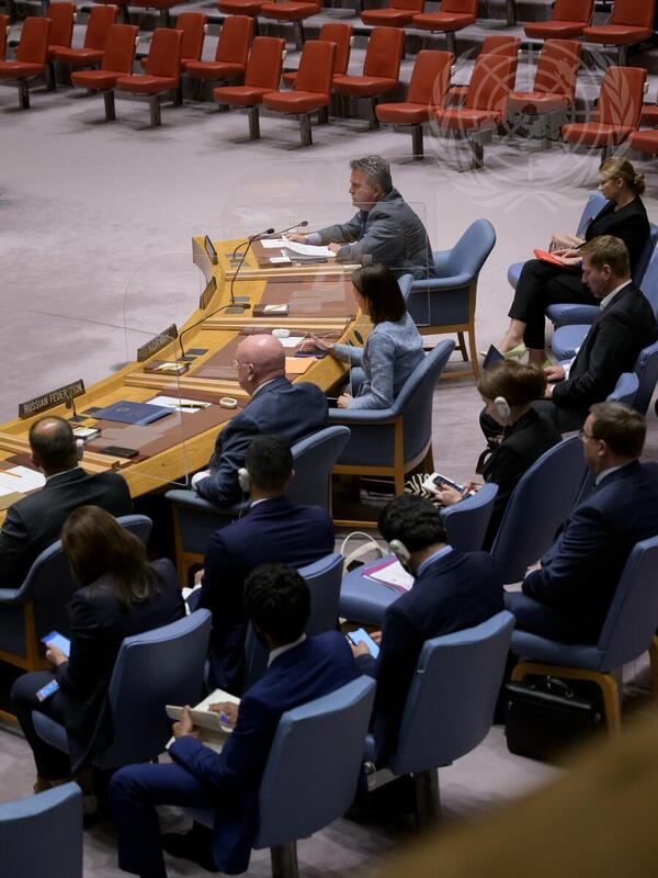 Security Council Meets on Threats to International Peace and Security