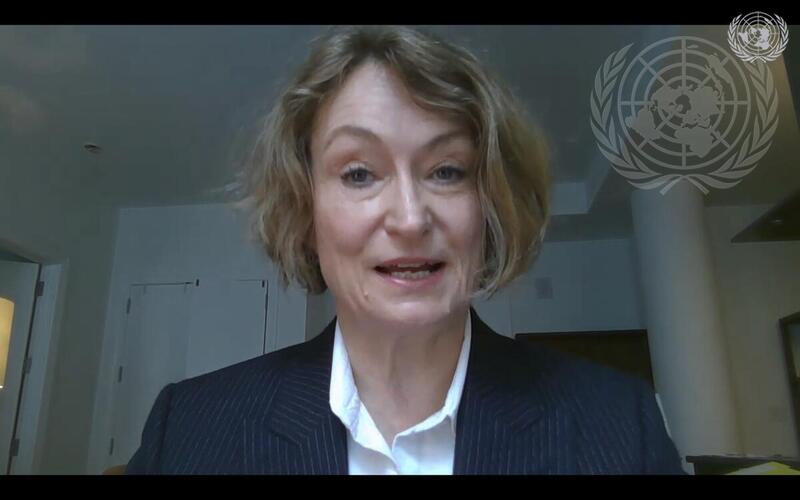 Security Council High-level Arria-formula Meeting on Crimea and Ukraine