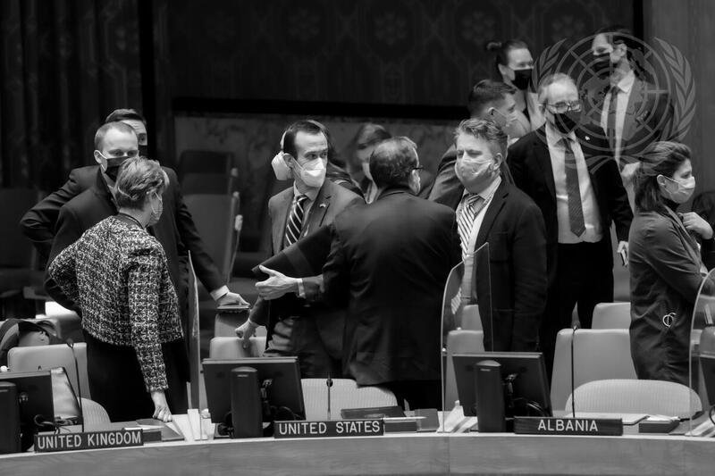 Security Council Meets on Situation in Ukraine
