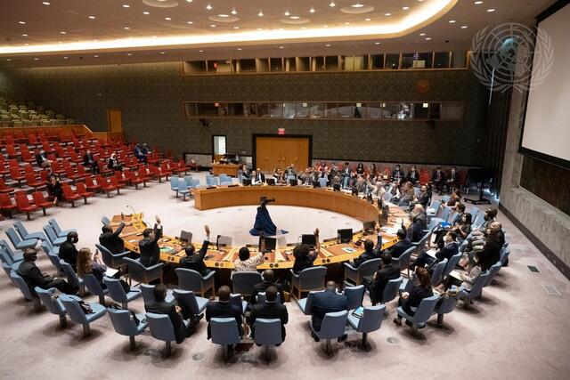 Security Council Extends Mandate of UNMHA