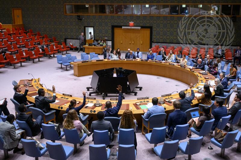 Security Council Adopts Resolution on Red Sea Reporting Request