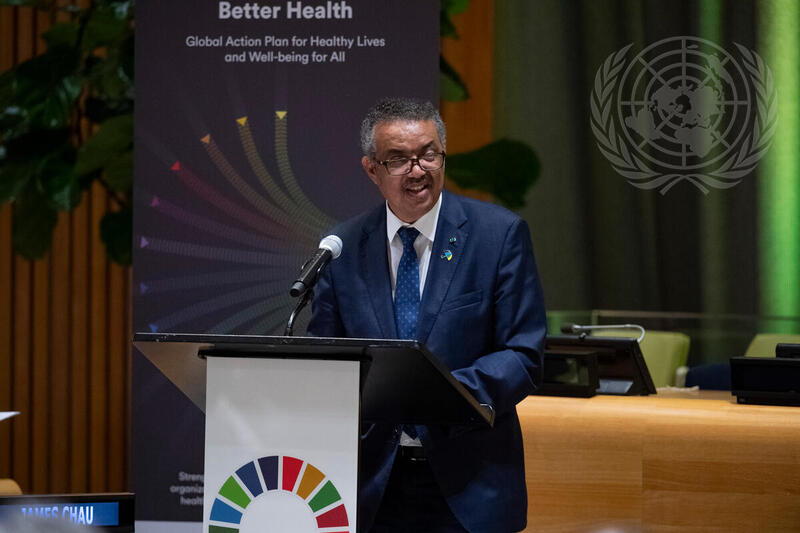 Special Event on Global Action Plan for Healthy Lives and Well-being for All