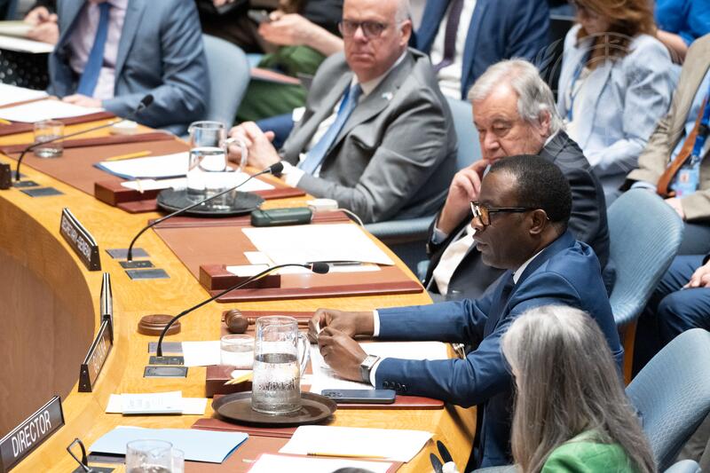 Security Council Meets on Poverty, Underdevelopment, and Conflict