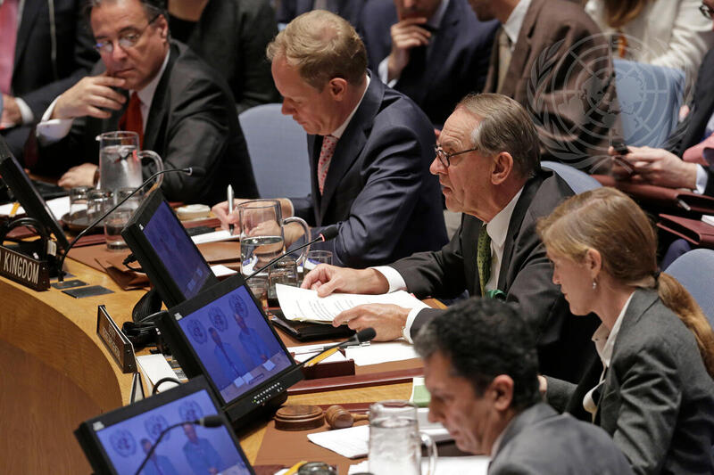 Security Council Discusses Situation in Ukraine
