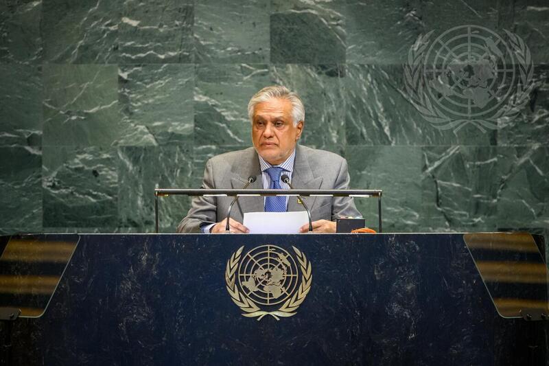 General Assembly Meets on 30th Anniversary of Fourth World Conference on Women