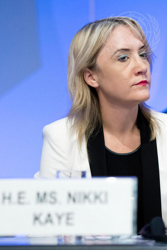 Fourth Session of the Global Platform for Disaster Risk Reduction