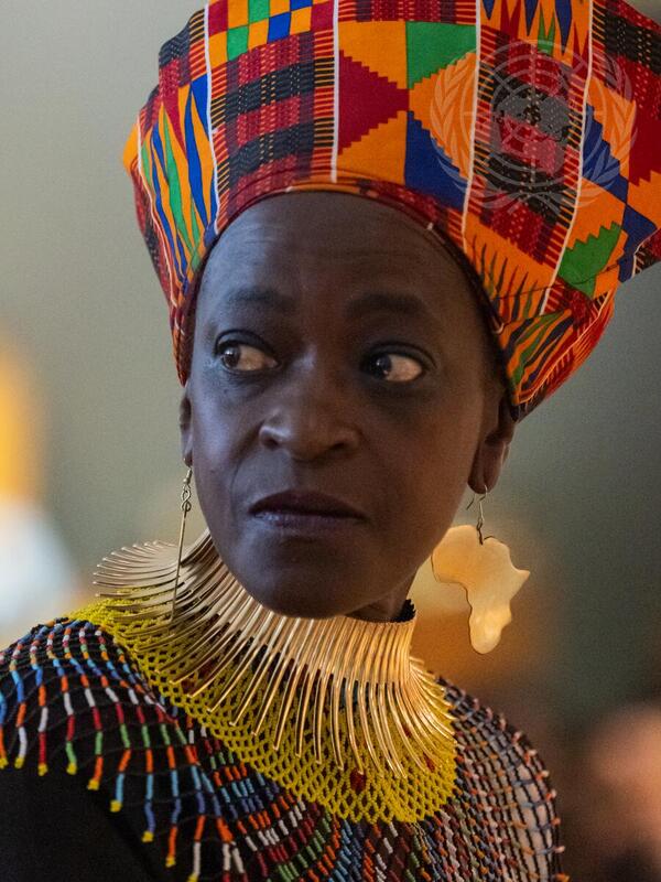 Permanent Forum on People of African Descent Fourth Session