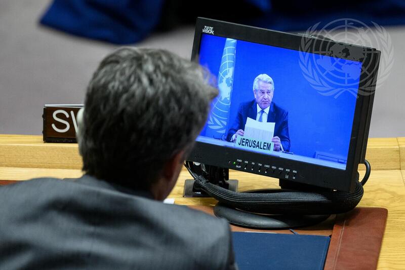 Security Council Meets on Situation in Middle East, Including ...