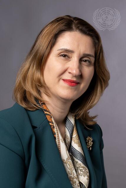 Portrait of Permanent Representative of Albania
