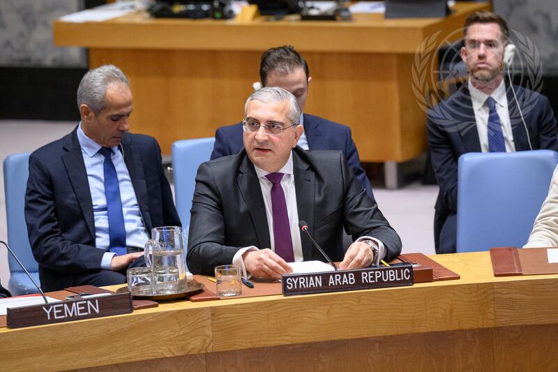 Security Council Meets on Situation in Syria