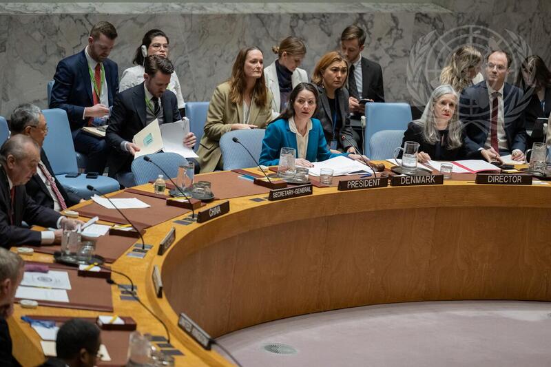 Security Council Hears Reports on Sudan and South Sudan