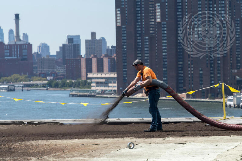 Installation of Green Roof on UN Headquarters