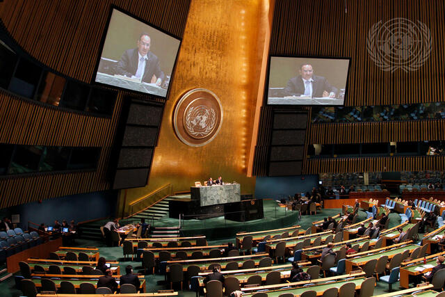 Assembly Receives Annual ECOSOC Report