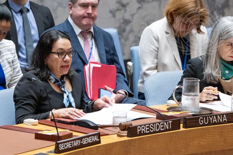 Security Council Meets on Situation in Syria