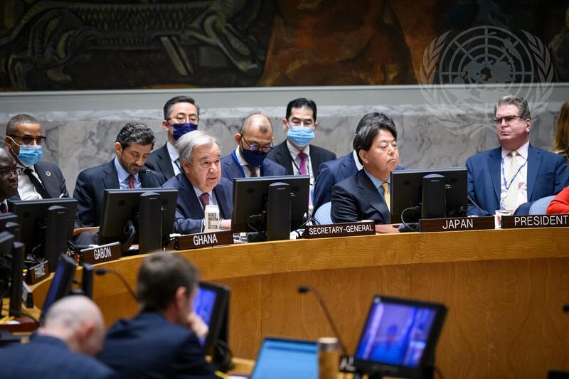 Security Council Meets on Rule of Law Among Nations