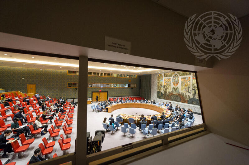 Security Council Considers Situation in Central African Republic