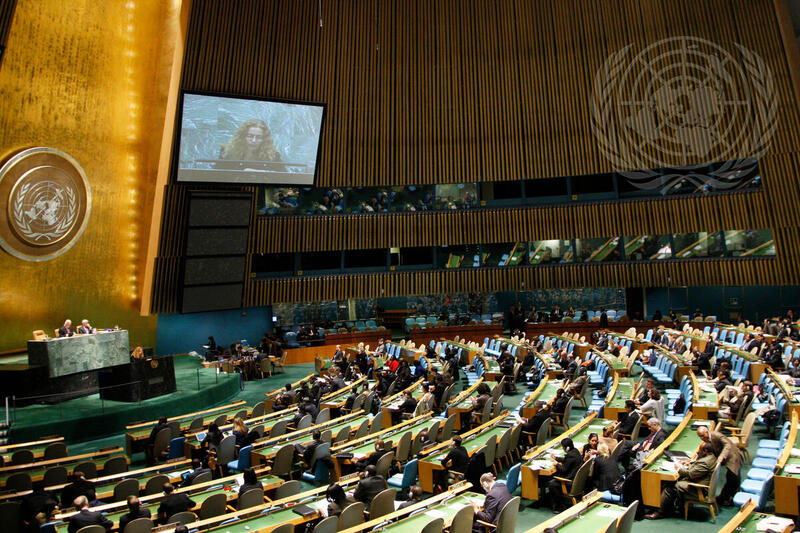 Assembly Receives Annual Report from Human Rights Council