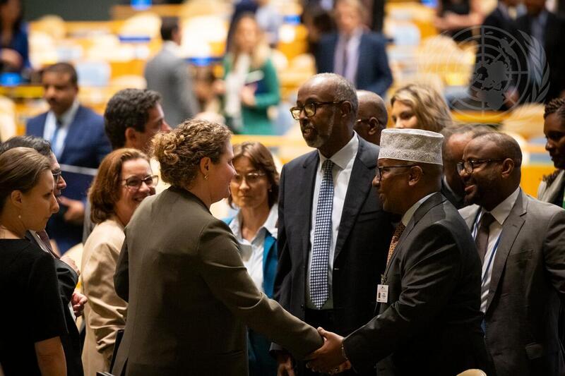 General Assembly Elects Non-Permanent Members of Security Council for 2025 – 2026