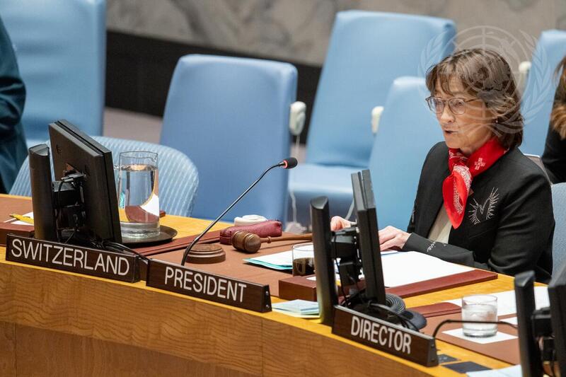 Security Council Meets on Threats to International Peace and Security