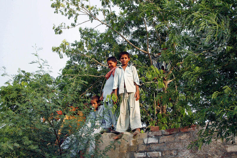 Children among Pakistanis Displaced by Flood