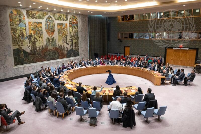 Security Council Fails to Adopt Resolution on Humanitarian Ceasefire in Gaza