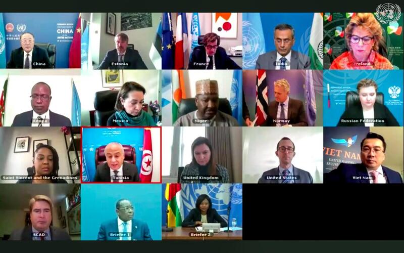Security Council Holds Videoconference in Connection with Central African Republic