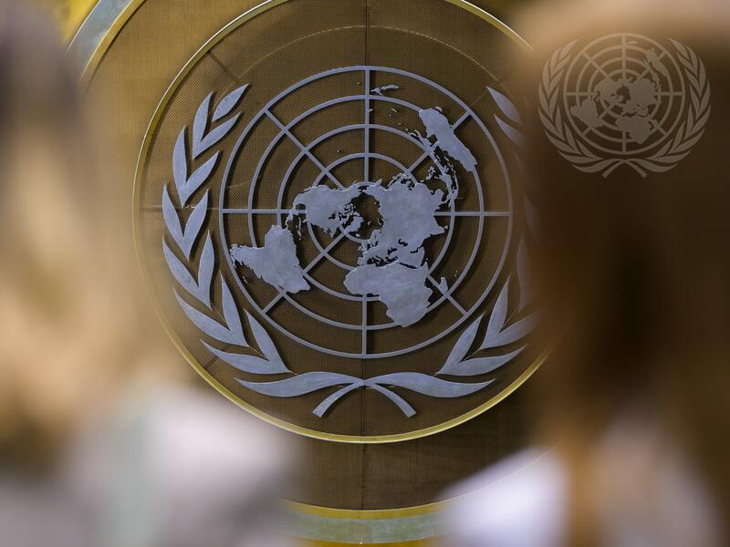 General Assembly Holds Election of Non-permanent Members of Security Council