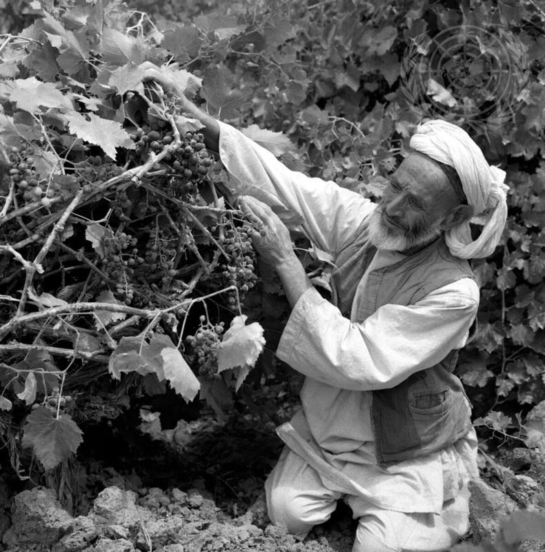 Rural Development in Afghanistan