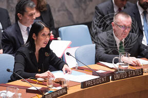 Security Council meeting The situation in the Middle East