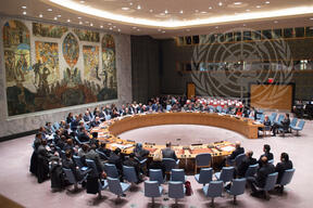 Security Council meeting The situation in the Middle East