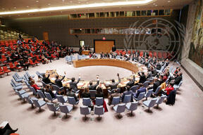 Security Council meeting: Threats to international peace and security caused by terrorist acts