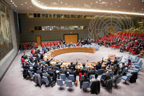 SC meets to discuss threats to international peace and security caused by terrorist acts